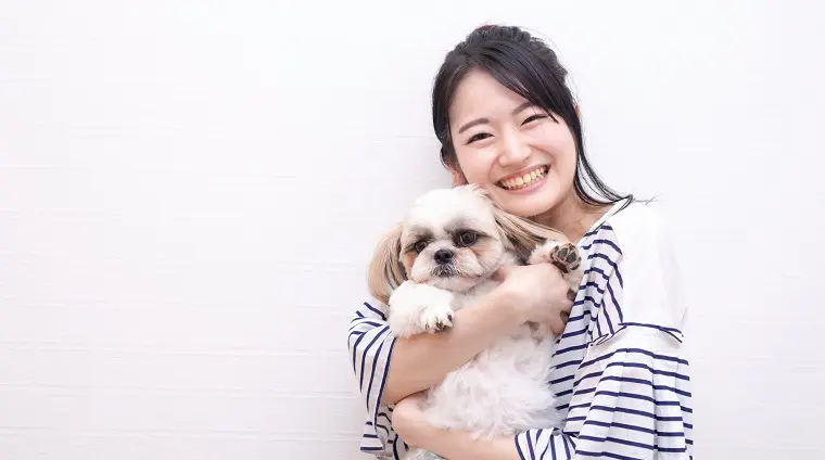歴代4頭のシーズーと暮らしてきたシーズーLOVEな犬の専門家が、シーズーを迎える・シーズーと暮らす際の悩みを解決する情報を発信中。